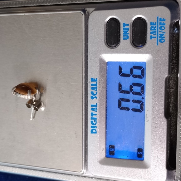 Sterling Silver Tiger's Eye Stud Earrings - Picture 6 of 12